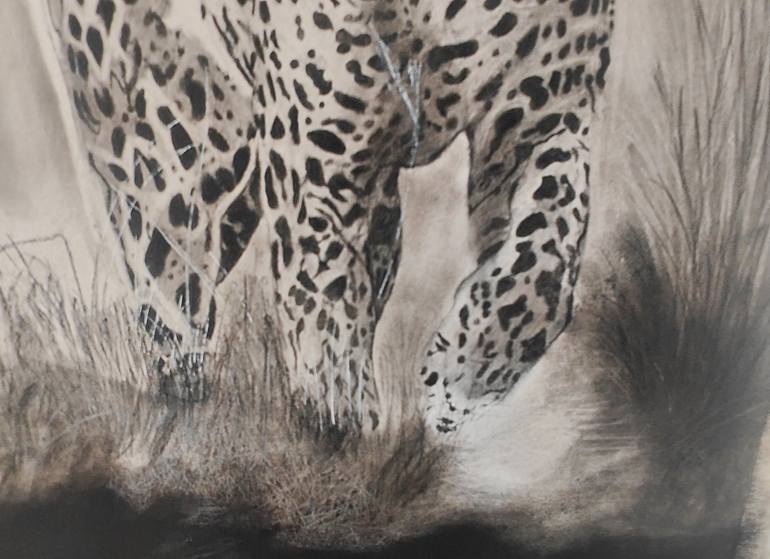 Original Black & White Animal Drawing by Shailendra Khadkikar