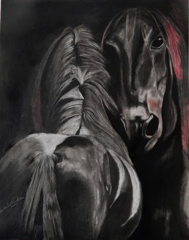 Original Abstract Horse Drawings by Shailendra Khadkikar