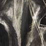 One of the most majestic animal, shiny, muscular and flawless hairs make it a fantastic subject for art. It was a challenge to give justice to this art with only charcoal, hence a pinch of dry pastel was used to enhance the contrast