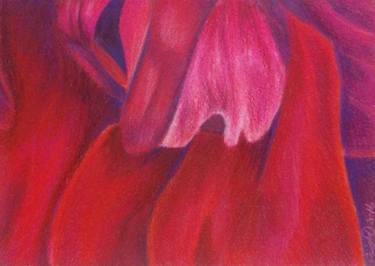 Pink Lady Color Pencil Drawing thumb