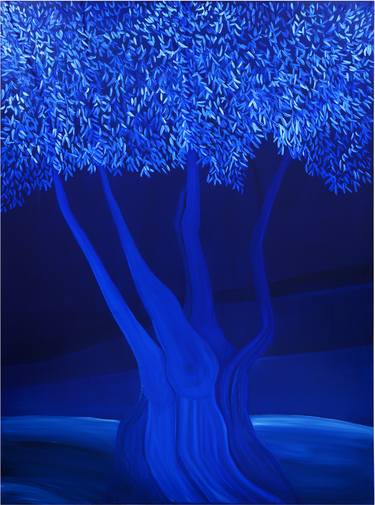 Olive tree in the blue of night thumb