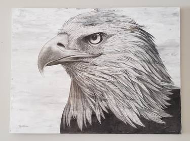 Portrait of an eagle thumb