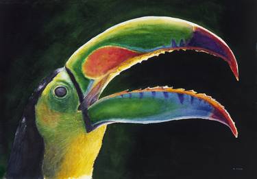 Toucan - Limited Edition 1 of 12 thumb