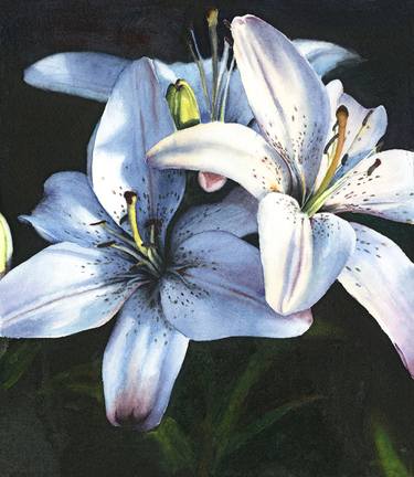Lillies - Limited Edition 1 of 10 thumb