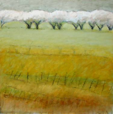 Original Abstract Landscape Paintings by June Stapleton