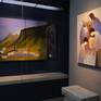 exhibited in art museum