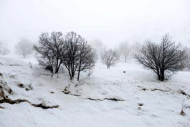 Wintertime at the Golan Heights thumb