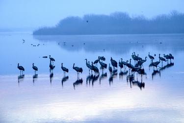 Sunrise over the Hula valley thumb