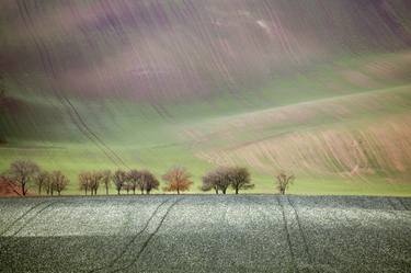 Original Fine Art Landscape Photography by Dubi Roman