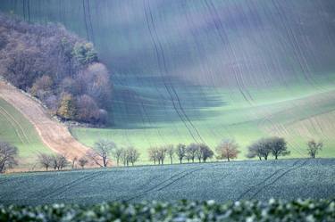 Autumn in South Moravia 2 - Limited Edition of 30 thumb