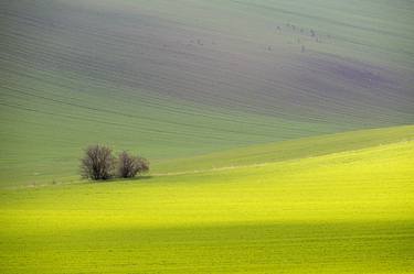 Original Landscape Photography by Dubi Roman