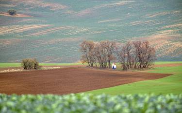 Autumn in South Moravia 6 - Limited Edition of 30 thumb