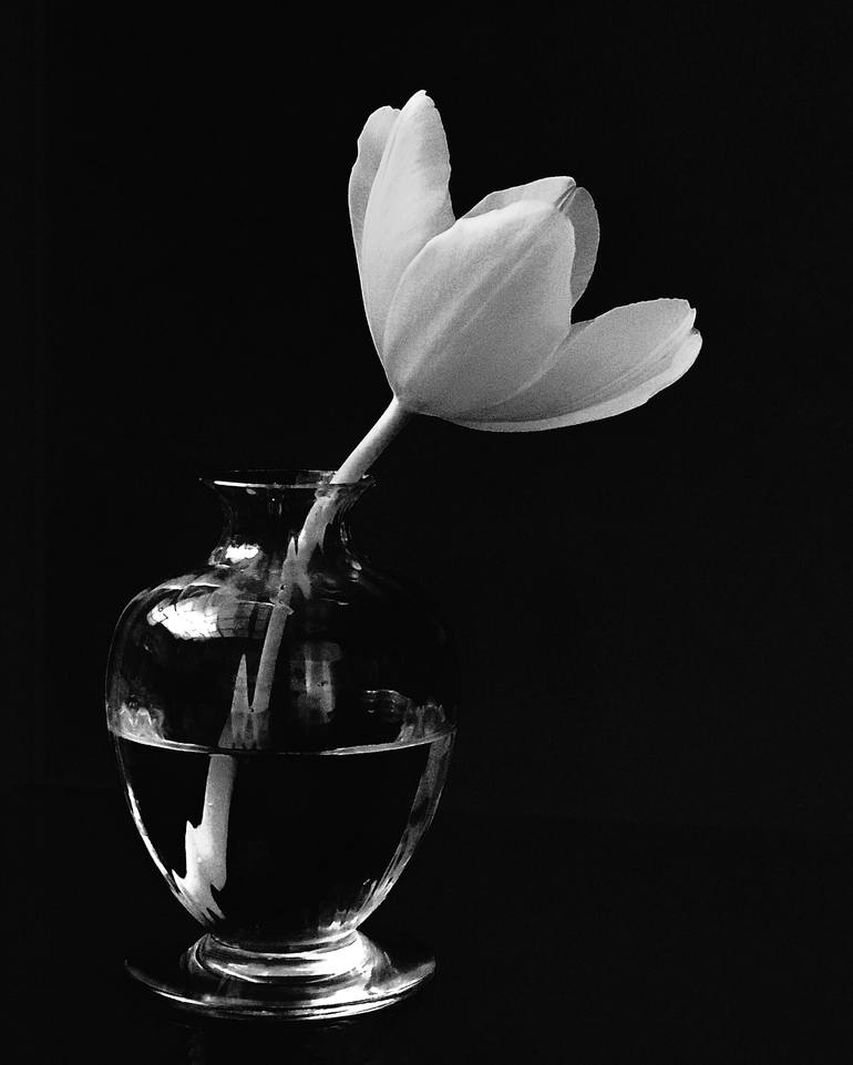 black and white tulip photography