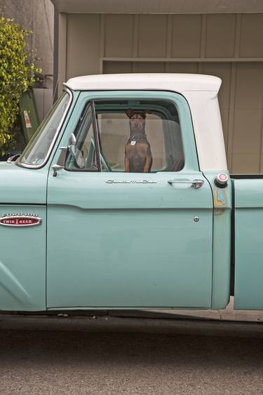 Dog in truck, Pacific Ave. thumb