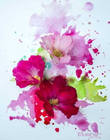 Print of Floral Photography by Elusha Elina