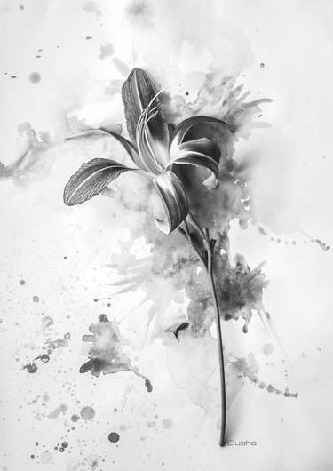Print of Conceptual Floral Photography by Elusha Elina