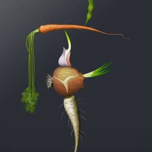 Not Yet Still Life - Limited Edition 18 of 20