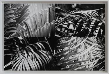 Collage of palm leaves - Limited Edition of 10 thumb