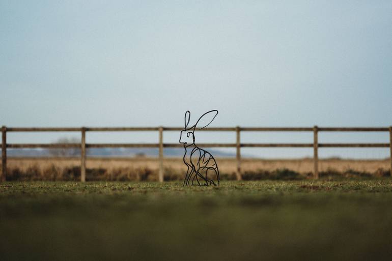 Original Figurative Animal Sculpture by Ollie Holman