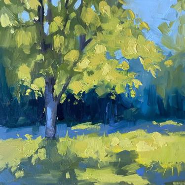 Original Contemporary Landscape Paintings by Jenny Berry