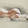 Collection Nude Drawings