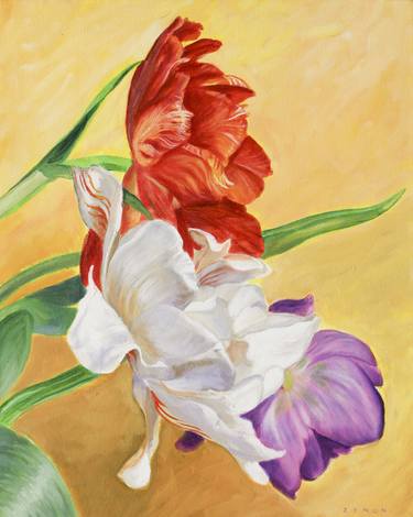 Original Floral Paintings by Zenon Nowacki