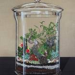 a terrarium by Sooyoung Chung