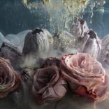 Under the surface Limited 3/7 by Elisenda Sofia
