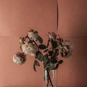 Beautiful Decay Limited 3/7