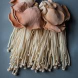 Still - Limited Edition of 14 by Elisenda Sofia