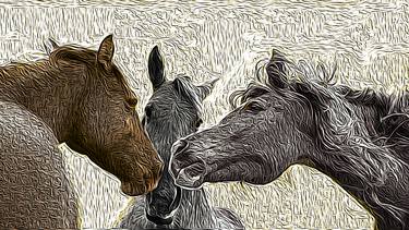 Print of Horse Printmaking by AA ELKAMMASS