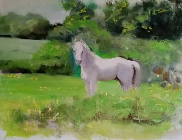 Print of Impressionism Horse Paintings by Rosemary Burn