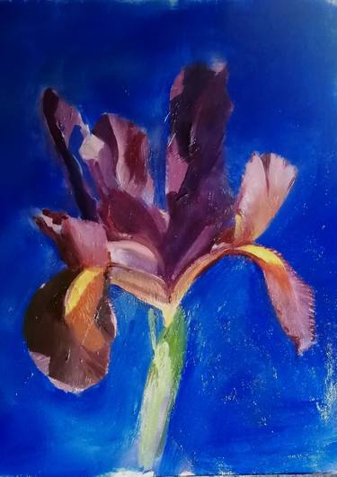 Original Figurative Floral Painting by Rosemary Burn