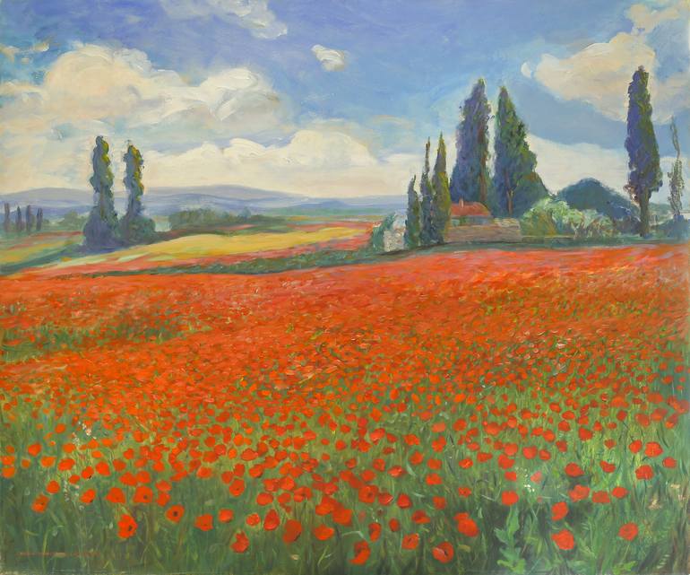 Poppy Field in France