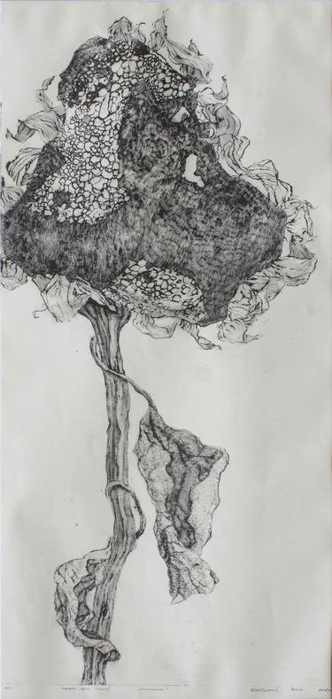 Print of Botanic Printmaking by Anna Shabaltiy