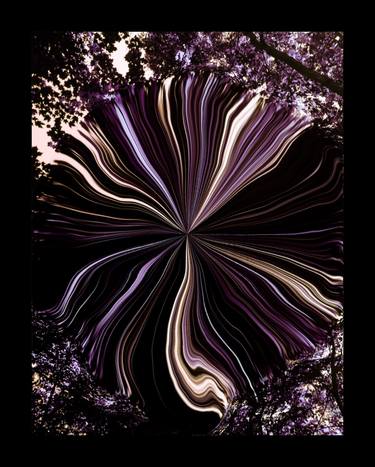 Saatchi Art Artist Camille Ross; Photography, “Playful Purple Medicine Wheel, Healing Light Trails Of Hope - Limited Edition of 1” #art