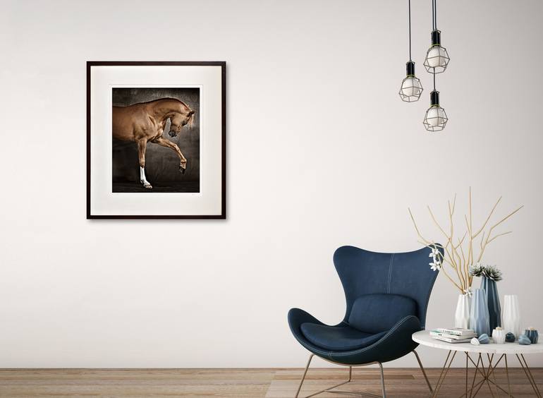 Original Fine Art Horse Photography by Tariq Dajani