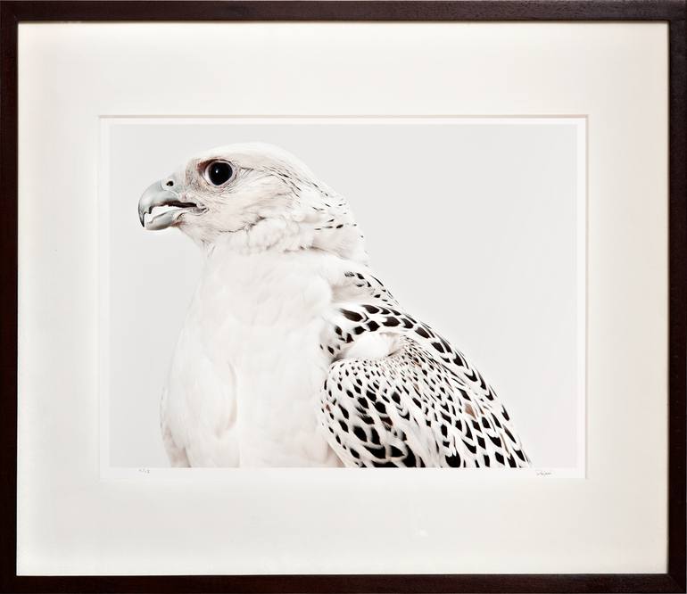 Original Fine Art Portrait Photography by Tariq Dajani