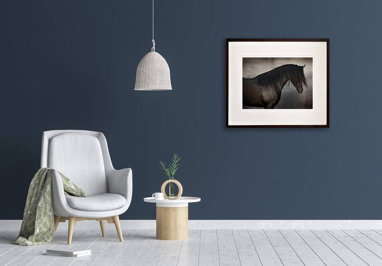 Original Abstract Horse Photography by Tariq Dajani