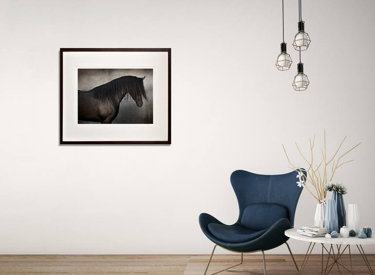Original Abstract Horse Photography by Tariq Dajani