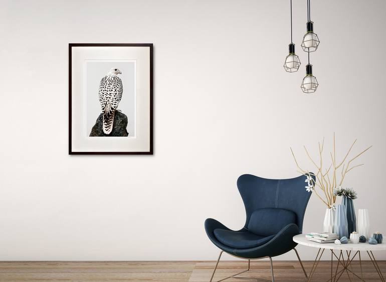Original Figurative Animal Photography by Tariq Dajani