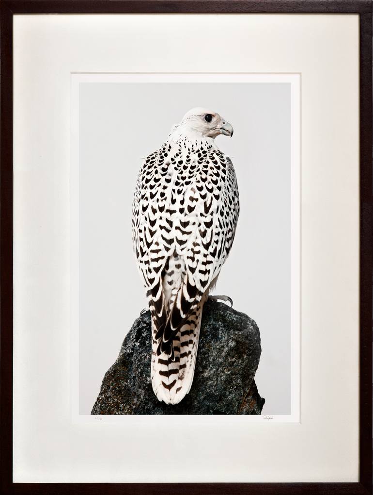 Original Figurative Animal Photography by Tariq Dajani
