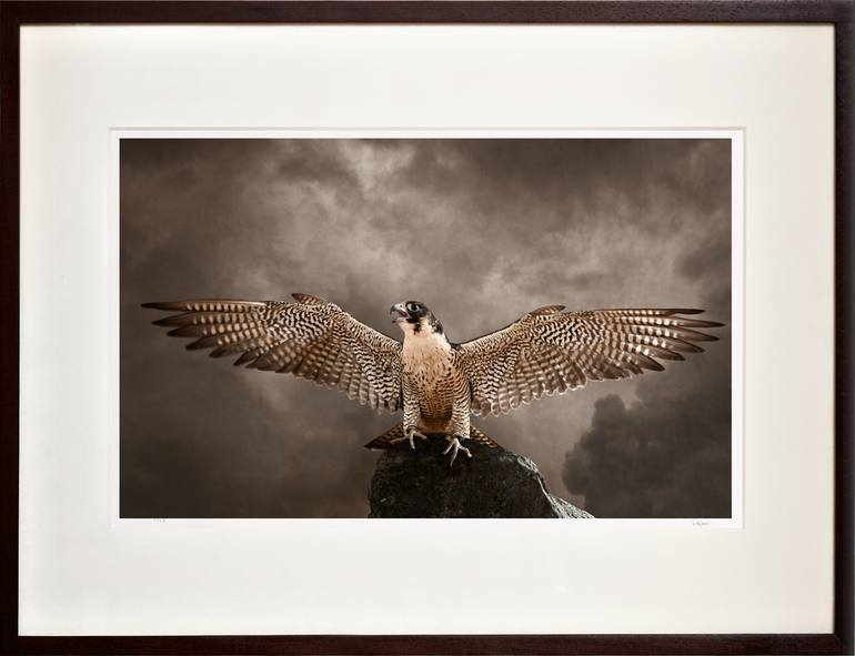 Original Figurative Animal Photography by Tariq Dajani