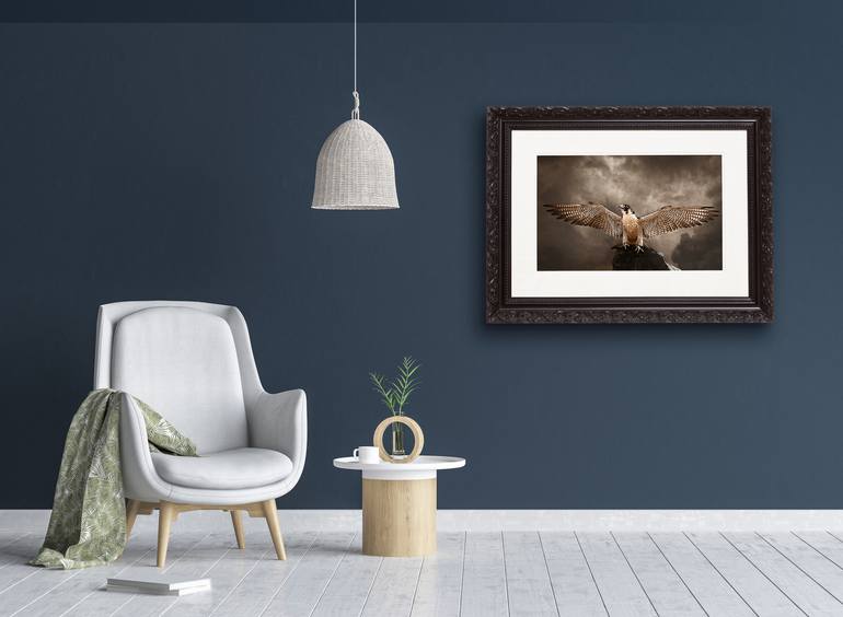 Original Figurative Animal Photography by Tariq Dajani