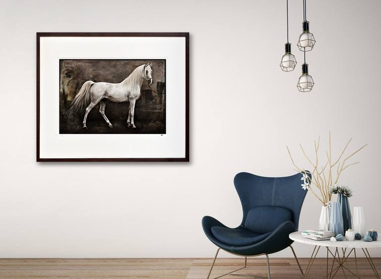 Original Figurative Horse Photography by Tariq Dajani