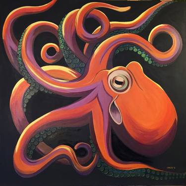 Cephalopoda - Octopus Vulgaris thumb