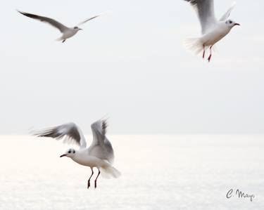 Original Abstract Expressionism Seascape Photography by CONCHA MAYO