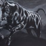 bull by Andrea Silberhorn-Piller