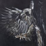 falcon by Andrea Silberhorn-Piller