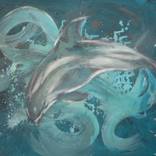 dolphin by Andrea Silberhorn-Piller